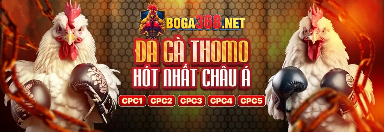 Nền tảng 33win 2026 với ưu điểm vượt trội